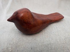 cb_padauk-2