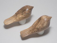cb_SpaltedHackberry-10