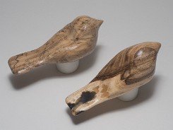 cb_SpaltedHackberry-11