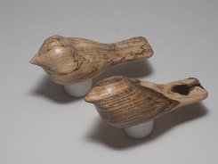 cb_SpaltedHackberry-12