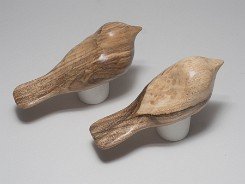 cb_SpaltedHackberry-2