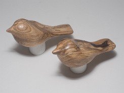 cb_SpaltedHackberry-3