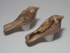cb_SpaltedHackberry-4