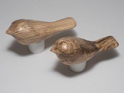 cb_SpaltedHackberry-5