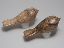 cb_SpaltedHackberry-6