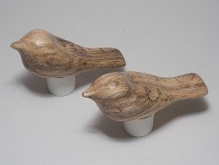 cb_SpaltedHackberry-7