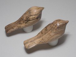 cb_SpaltedHackberry-8