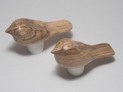 cb_SpaltedHackberry-9