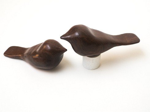 cb_surinam-ironwood-2