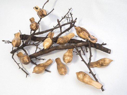 cb_hackberry_group-4