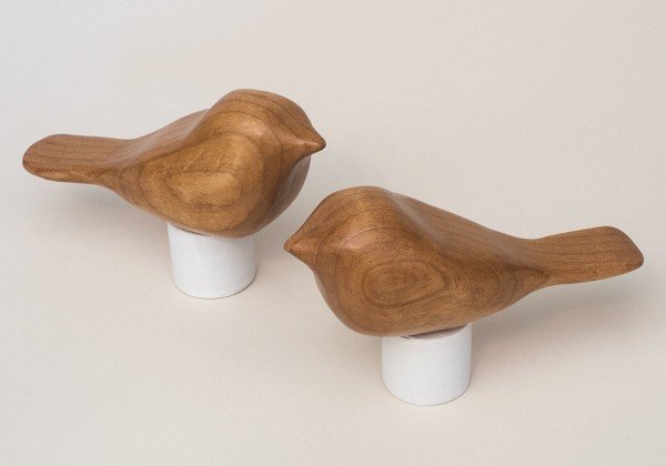 Alder