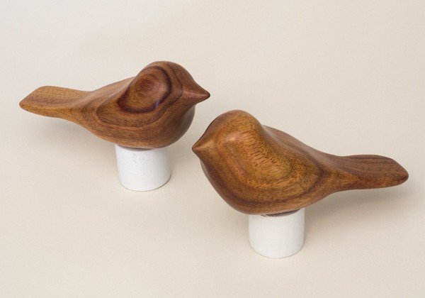 Canarywood