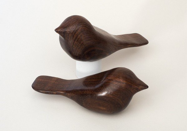 Surinam Ironwood